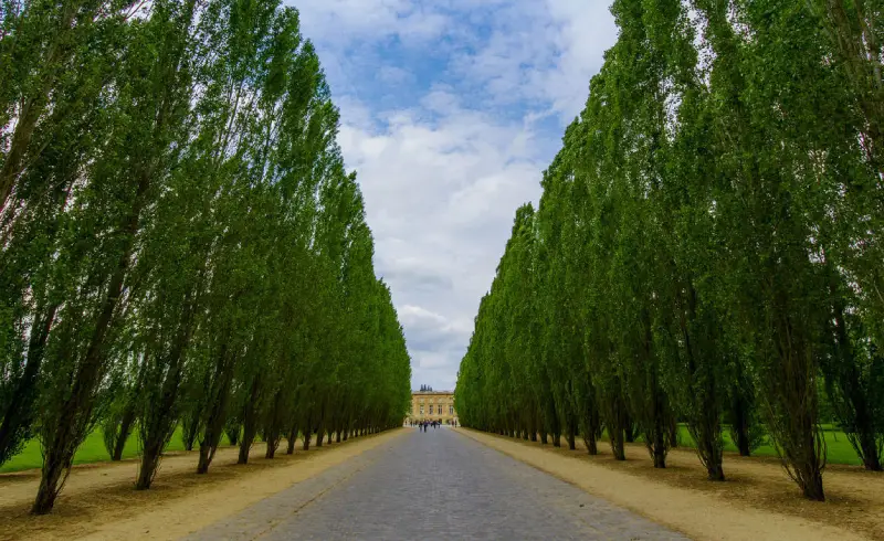 Versailles Palace Excursion 1